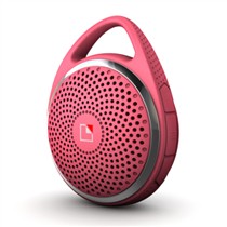 7938364.jpg