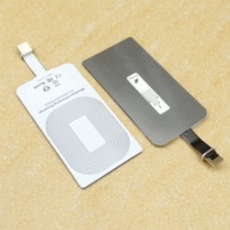 8078842.jpg