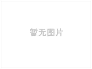 ˶̩��SL-85DR2+