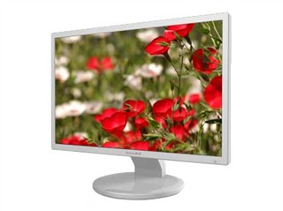Great Wall L226