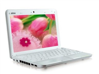 msi΢��Wind U100(N270/1GB/80GB/XP Home)