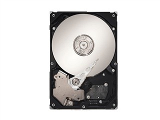 ϣ��750GB/7200ת/SATA(ST3750330NS)