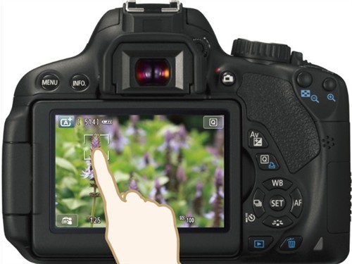 APS-C画幅技术进步奖:佳能EOS 650D-IT168影