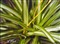 ��˶DRW-0402D��ƷͼƬ2