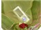 ����E3(1G)��ƷͼƬ8