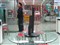 LG L194WS��ƷͼƬ5