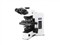 ���ְ�˹BX51��ƷͼƬ1