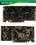 ˫���޼�2 HD5830 DDR5 �׽���ƷͼƬ3