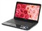 ����IdeaPad Y460A-IFI(��)���ͼƬ2