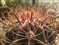 HTC G7 Desire����ͼƬ1
