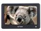 ����VX530LE(4G)��ƷͼƬ1