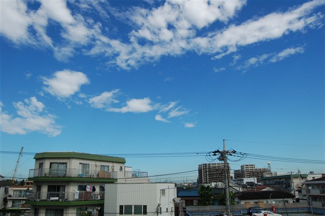 佳能EOS 350D样张图片1-IT168