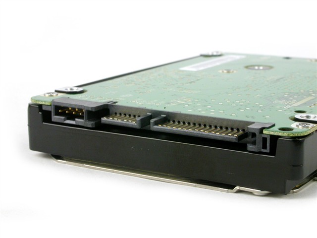 2800836.jpg