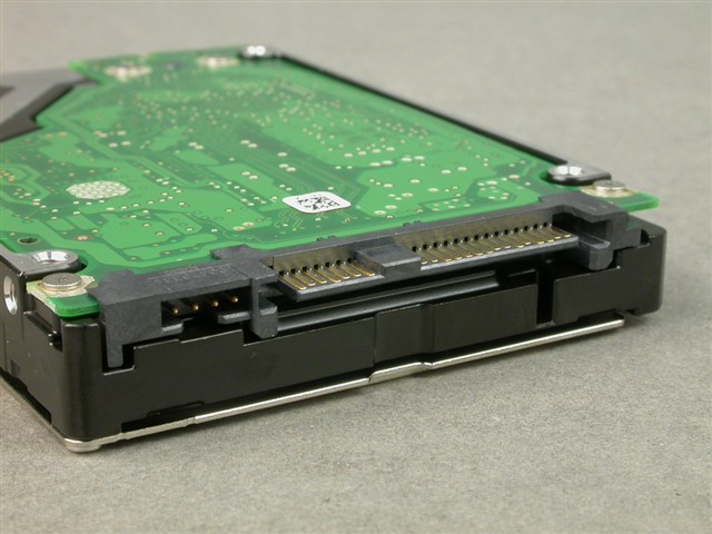 3216417.jpg