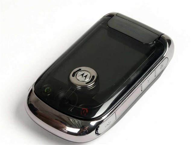 3500318.jpg