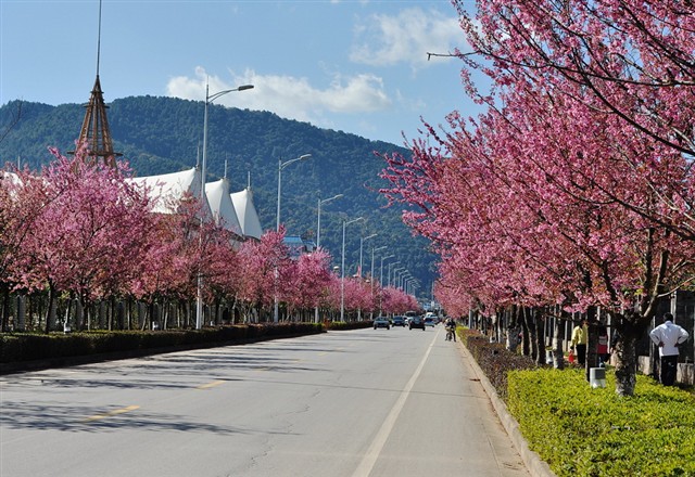 尼康AF 50mm f\/1.8D样张图片1-IT168