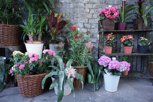 索尼e 16mm f\/2.8样张图片18-it168