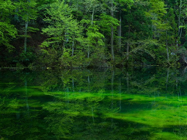 宾得645d的镜头_宾得645d 样片_宾得 645d