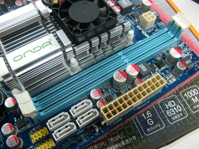 5031313.jpg