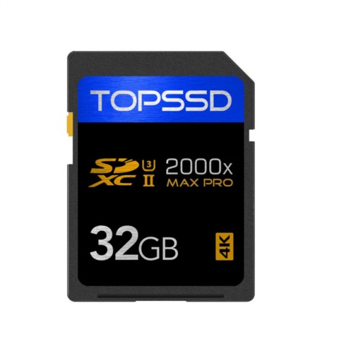 8385094.jpg