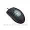 �޼�G3������Ϸ��pk1