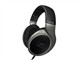 ɭ������ HD595pk