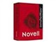 NOVELL Groupwise 5.5 100upk1