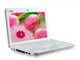 msi΢��Wind U100(N270/1GB/80GB/XP Home)pk1