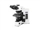 ���ְ�˹ BX51pk