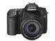 ���� EOS 50D(��ͷ�׻�18-135 IS)