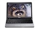 DELL Inspiron ��Խ 14z(I14zD-128)