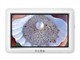 ������ PM5986A(8G)pk