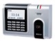 �п� MX618