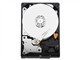 ϣ��1TB/7200ת/32M/����(ST31000524AS)pk1