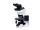 ���ְ�˹ BX43