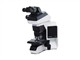 ���ְ�˹ BX46