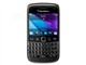 ��ݮ Bold 9790