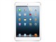 苹果 iPad mini WiFi版 16GB