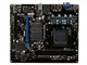 msi΢�� 760GM-P21(FX)