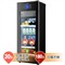 海尔 LC-166B 166升冰吧 (黑色)