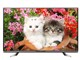夏普 LCD-60LX960A 60英寸3D网络智能LED液晶电视