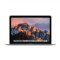 苹果 MacBook 12英寸笔记本电脑 深空灰色(Core i5 处理器/8GB内存/512GB闪存 MNYG2CH/A)