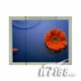 富视 Film Screen(72")