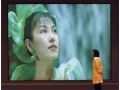 DNP GWA巨型广角屏幕(150"/4:3)