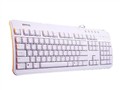 BenQ A800海贝键盘标准版