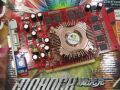 启亨 魔虎克7300GT DDR2(256M)
