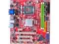 MSI P6NGM 
