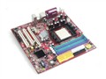 MSI K8NGM2-L