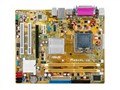 华硕 P5KPL-VM