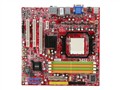 MSI K9A2VM-FD